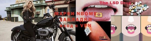 ECSTASY Богородск
