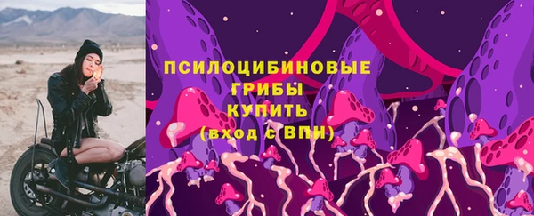 мяу мяу мука Богданович